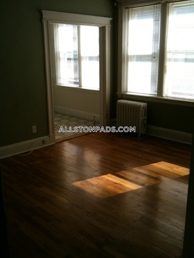 Allston Apartment for rent 1 Bedroom 1 Bath Boston - $3,100