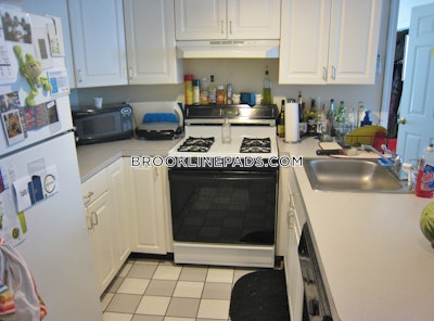 Brookline Apartment for rent 3 Bedrooms 1 Bath  Boston University - $4,750