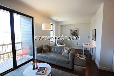 Somerville Luxury 1 Bed 1 Bath   Magoun/ball Square - $3,420 75% Fee