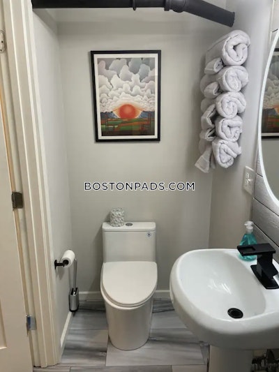 Brookline 1 Bed 1 Bath  North Brookline - $2,700