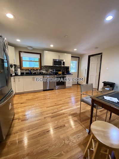 Cambridge 4 Beds 2 Baths  Harvard Square - $4,000