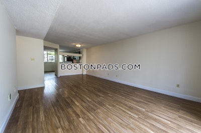 Brighton 2 Beds 1.5 Baths Boston - $3,300