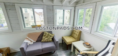 Brighton 5 Beds 2 Baths Boston - $4,550 No Fee