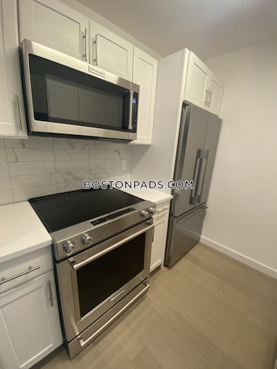 Downtown 1 Bed 1 Bath Boston - $3,175 No Fee