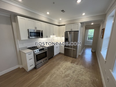 Brighton 2 Beds 1 Bath Boston - $3,495 No Fee