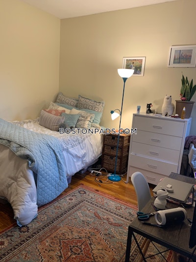 Allston 1 Bed 1 Bath Boston - $3,000