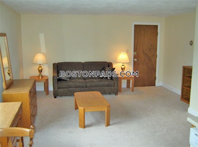 Arlington Apartment for rent 1 Bedroom 1 Bath - $2,100