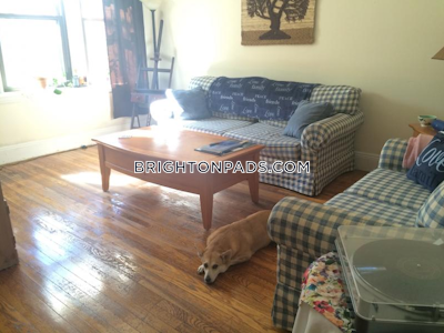 Brighton Apartment for rent 1 Bedroom 1 Bath Boston - $2,050