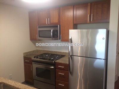 Dorchester Apartment for rent 1 Bedroom 1 Bath Boston - $4,559 No Fee