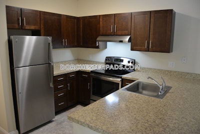 Dorchester Studio 1 Bath Boston - $2,165