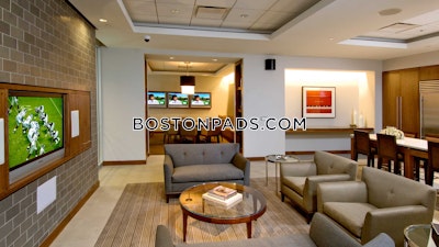 Downtown 1 Bed 1 Bath Boston - $4,112