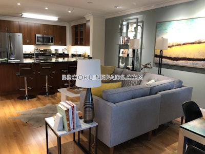 Brookline Luxurious 1 Bed 1 Bath on Beacon St  Coolidge Corner - $3,735 No Fee