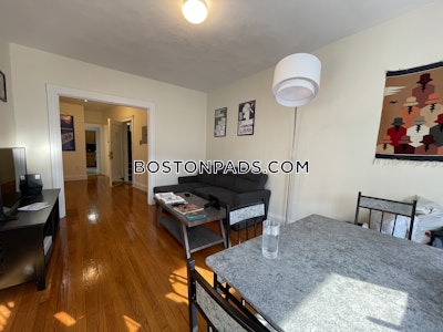 Brighton 2 Beds 1 Bath Boston - $2,725 No Fee