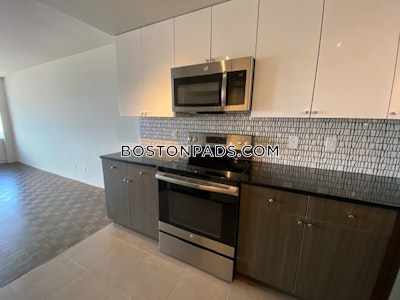 Back Bay Apartment for rent 1 Bedroom 1 Bath Boston - $3,904