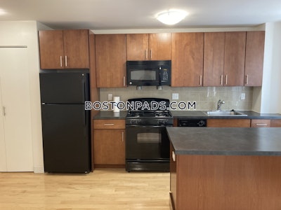 Brighton Apartment for rent 1 Bedroom 1 Bath Boston - $3,170