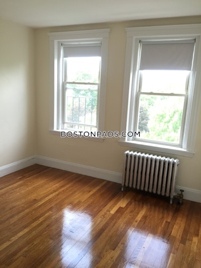 Brighton Apartment for rent 1 Bedroom 1 Bath Boston - $2,200