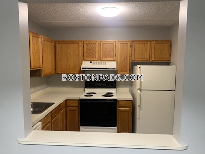 Dorchester Apartment for rent 1 Bedroom 1 Bath Boston - $2,620