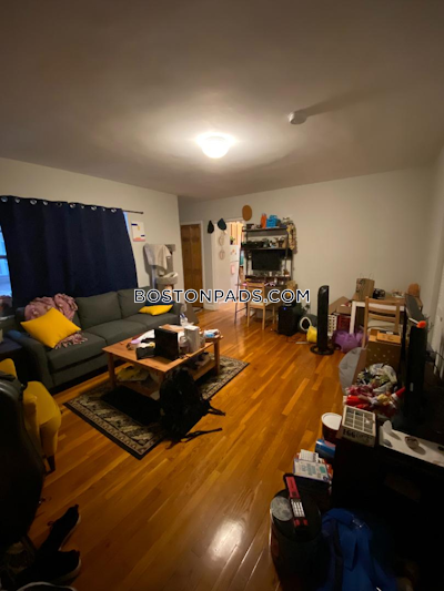 Brighton 1 Bed 1 Bath Boston - $2,350