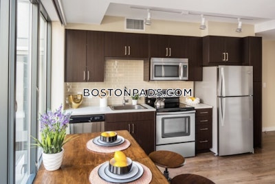 Downtown Apartment for rent Studio 1 Bath Boston - $3,050