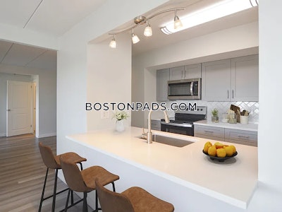 Brighton Apartment for rent 1 Bedroom 1 Bath Boston - $2,775