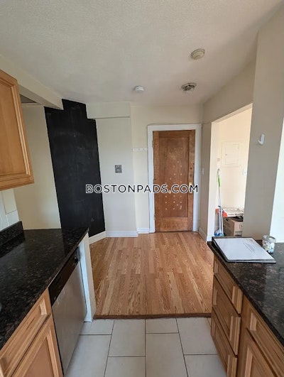 Allston/brighton Border Apartment for rent 1 Bedroom 1 Bath Boston - $2,100