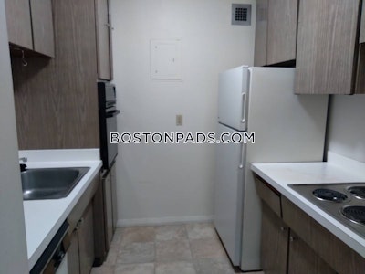 Allston/brighton Border Apartment for rent 1 Bedroom 1 Bath Boston - $2,400 No Fee