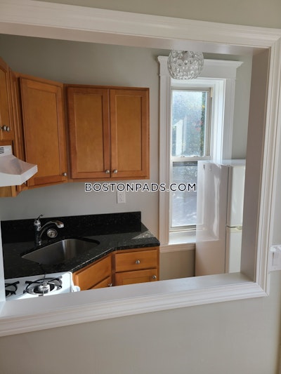 Allston Apartment for rent 1 Bedroom 1 Bath Boston - $2,175