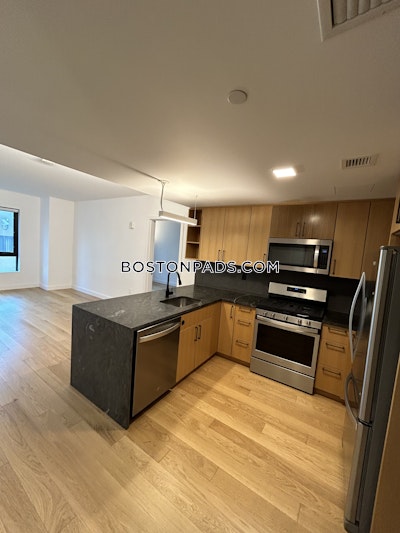 Allston Apartment for rent 2 Bedrooms 2 Baths Boston - $4,750