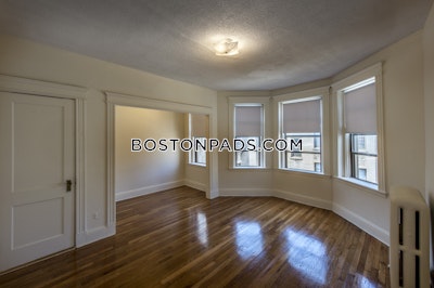 Allston Apartment for rent Studio 1 Bath Boston - $2,350