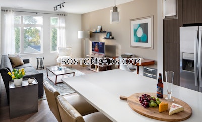 Waltham 2 bedroom 2 baths Luxury in WALTHAM - $3,477